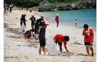 (2) 美しい自然環境の保全と地域資源を活かした観光むらづくり及び地域産業の振興に関する事業