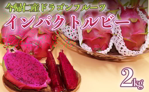 【限定50個】今帰仁産ドラゴンフルーツ「インパクトルビー」2kg【2026年8月～9月頃配送】