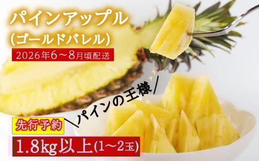 【2026年6～8月頃配送】今帰仁産パインアップル（ゴールドバレル）1.8㎏以上　1～2玉　先行予約　※冷蔵不可地域はお申込いただけません。