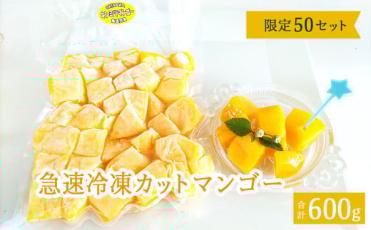 急速冷凍カットマンゴー　金蜜300g×２（限定50セット）【沖縄県今帰仁村産】