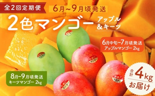 【定期便】今帰仁2色マンゴー（赤・緑）【先行予約】【2026年　赤：6月中旬～7月頃　緑：8月～9月頃発送】生産者直送