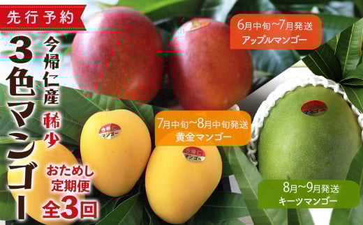【お試し定期便】稀少3色マンゴー食べ比べセット（赤・黄・緑）【2026年　赤：6月中旬～7月頃　黄：7月中旬～8月中旬頃　緑：8月～9月頃発送】生産者直送