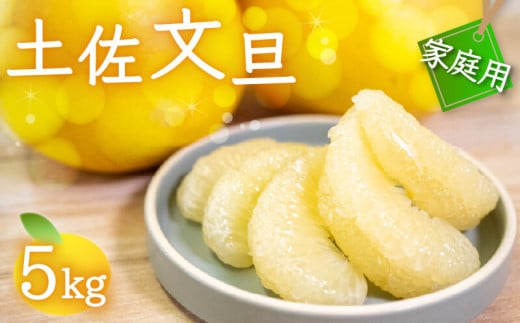 訳あり 文旦 5kg 早期予約 2026年1月中旬以降より 順次発送 産地直送 安和 文旦 家庭用 高知県産 柑橘 フルーツ ぶんたん 果物 みかん 高知県 須崎 NPO004_x [NPO004_x]