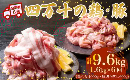 【6ヶ月連続】四万十ブランド 鶏肉1kg 豚肉600g（計1.6kg×6回) 9.6kg 6回定期便 6Cコース｜ 四万十ポークスライス 四万十ポーク 豚バラ肉 小分け 小間切れ スライス 切り落とし 冷凍 真空パック 細切れ 切身 カット 一口大 カット済み  四万十鶏 鳥肉 とりにく 鶏もも 国産 ブランド 唐揚げ 煮物 鍋 チキン 高知県 須崎市 TM135000