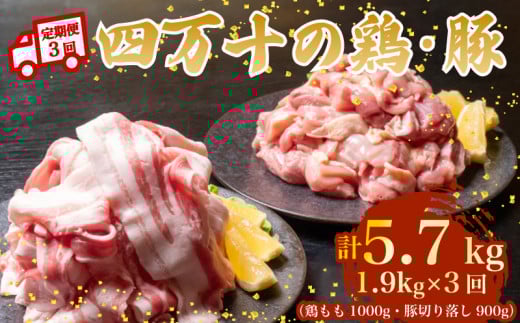 【3ヶ月連続】四万十ブランド 鶏肉1kg 豚肉900g（計1.9kg×3回) 5.7kg 3回定期便 6Eコース｜ 四万十ポークスライス 四万十ポーク 豚バラ肉 小分け 小間切れ スライス 切り落とし 冷凍 真空パック 細切れ 切身 カット 一口大 カット済み  四万十鶏 鳥肉 とりにく 鶏もも 国産 ブランド 唐揚げ 煮物 鍋 チキン 高知県 須崎市 TM137000