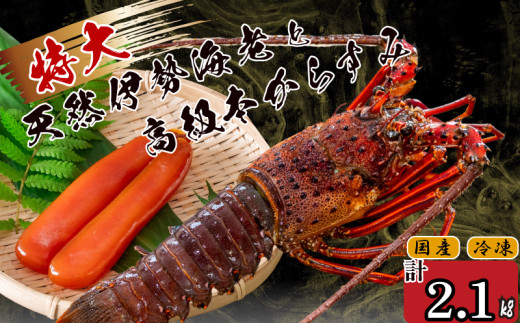 特大伊勢海老 3匹 高級 本からすみ 300g  ( 特大サイズ 急速冷凍 えび エビ からすみ カラスミ 珍味 高級 鮮魚 海鮮 魚介 魚卵 刺身 焼き物 汁物 セット ギフト 贈答 贈り物 祝い 歳暮 中元 ) IKY064