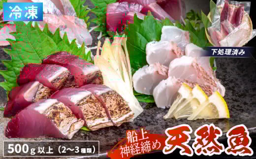 船上 神経締め 天然 鮮魚 詰め合わせ 朝獲れ直送 下処理済み 2~3種入り 500g以上 (2025年10月出荷) 冷凍 刺身 魚種お任せ 水揚げ 海鮮 魚介 産地直送 新鮮 魚 鮮魚ボックス