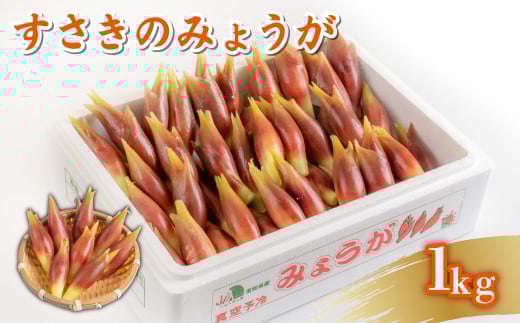 秀品 すさきのみょうが 1kg 生産量日本一 産地直送 かつおのたたき 薬味 高知県 高知 須崎 須崎市 すさき みょうが 茗荷 かつおたたき 藁焼き鰹  カツオ タタキ 鰹 ぽん酢 玉ねぎ ねぎ しょうが 甘酢漬け 酢の物 味噌汁 冷や汁 そうめん 漬物 冷奴 寿司 うどん 天ぷら JA001