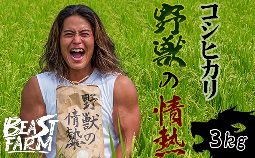 [令和7年産 新米早期予約] コシヒカリ 3kg 8月下旬から発送 厳選 高知県産 新米 産地直送 米 お米 白米 精米 ごはん コシヒカリ ご飯 井上農園 高知県 須崎市