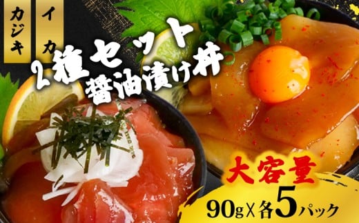 2種 醤油 漬け丼 90g×各5パック カジキマグロ イカ 切り身 特製 漬け丼 丼 海鮮丼 刺し身 刺身 切身 手軽 便利 ご飯のお供 簡単調理 海鮮 魚介 惣菜 冷凍 小分け 大容量 ふるさと納税 人気 ふるさと納税漬け丼 ふるさと納税海鮮丼 TY080