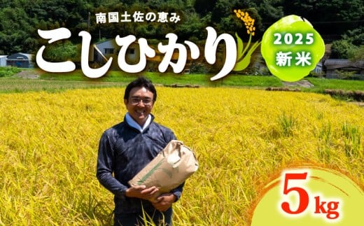 8月下旬から 発送 2025年 コシヒカリ 5Kg 新米 産地直送 高知県産 白米 精米 こしひかり 米 常温 配送 ブランド米 国産 米 早場米 人気 天然 恵み 心 高知県 須崎市 SI002