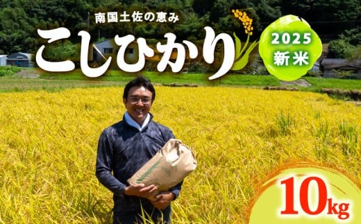 8月下旬から 発送 2025年 コシヒカリ 10Kg 新米 産地直送 高知県産 白米 精米 こしひかり 米 常温 配送 ブランド米 国産 米 早場米 人気 天然 恵み 心 高知県 須崎市 SI003