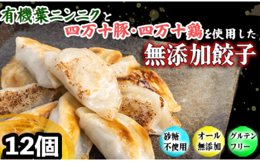 有機 葉 ニンニク と 四万十豚 で作った 最高級 餃子 ( 6個入り x 2パック )ぎょうざ ギョウザ にんにく 高知 野菜