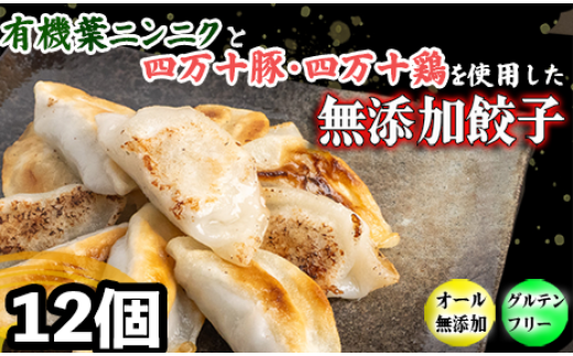 有機 葉 ニンニク と 四万十豚 で作った 最高級 餃子 ( 6個入り x 2パック )ぎょうざ ギョウザ にんにく 高知 野菜