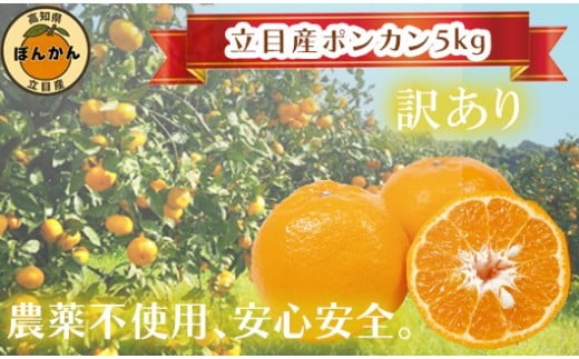 [ 早期予約開始 ] ポンカン 訳あり 5kg 2026年 1月下旬より順次発送 収穫分 無農薬 ブランド サイズ混合 家庭用 立目産ぽんかん 柑橘 みかん 高知県 須崎市