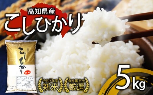 R7年産 新米 こしひかり 5kg 8月下旬から発送 厳選 新米 食味鑑定士 産地直送 3kg 5kg 10kg 米 お米 白米 精米 ごはん コシヒカリ ご飯 高知 県 産 須崎 市 米 NPO012-3x