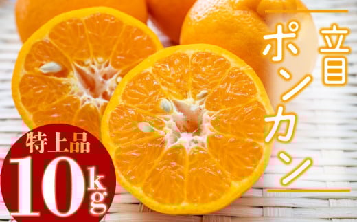 [2026年2月より発送]高知県産 立目 ぽんかん みかん 柑橘 特上品 10kg 贈答用 KJS015_x