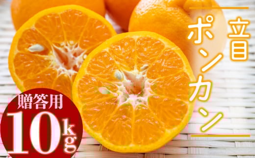 [2026年2月より発送]高知県産 立目 ぽんかん みかん 柑橘 特上品 10kg 優品 国産 ブランド 高知 ビタミン 生産者 産地 KJS016_x