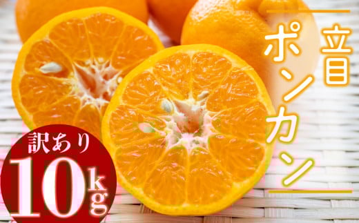 【2026年2月より発送】高知県産 立目 ぽんかん みかん 柑橘  訳あり 10kg 特上品 贈答用大小混合品 KJS017-x