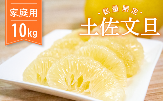 【2026年2月より順次発送】 訳あり 土佐文旦 家庭用 10kg 高知県産 柑橘 フルーツ 文旦 ぶんたん ブンタン 果物 産地直送 高知県 須崎 KG0041