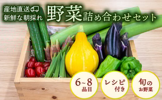 野菜 セット 6 ~ 8品目 詰め合わせ レシピ 付き 産地直送 高知県 須崎市 新鮮野菜  新玉ねぎ そら豆 スナップえんどう 春キャベツ フルーツトマト みょうが ズッキーニ オクラ かぼちゃ すじなし豆 トマト 空心菜 さつま芋 栗 秋豆 ぶしゅかん しょうが 金時しょうが チャーテ キク芋 赤大根 かぶ カリフラワー 芽キャベツ 旬 人気 ふるさと納税野菜 野菜セット