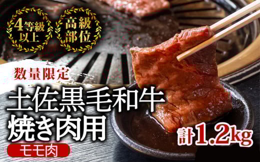 土佐 黒毛 和牛 焼肉用1.2kg ( 600g × 2パック ) | 特撰 モモ肉 最上位等級 A4 A5 最高ランク 1kg 以上 贅沢 焼き肉 やきにく 小分け 冷凍 国産 ブランド 和牛 牛肉 大人気 ギフト リピート リピーター おすすめ ランキング おいしい 限定 高評価 BBQ バーベキュー キャンプ アウトドア 高知県 須崎 TM012