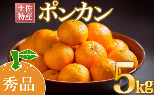 [早期予約受付開始]2026年1月下旬より順次発送 あわ地区 ポンカン 秀品 5kg 2026年 収穫分 みかん 高知 須崎