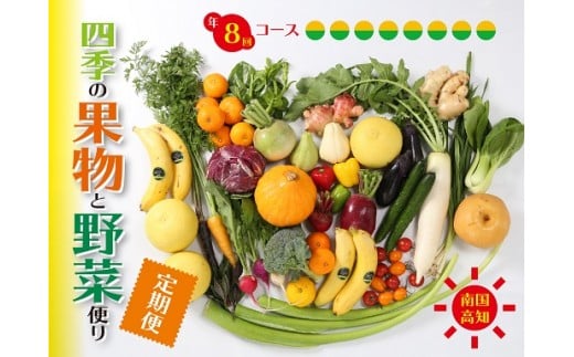 定期便 8回 野菜 おまかせ セット 10 〜 14種 旬 新玉ねぎ そら豆 スナップえんどう 春キャベツ フルーツトマト じゃが芋 みょうが ズッキーニ オクラ コリンキー かぼちゃ すじなし豆 トマト 花ニラ さつま芋 栗 秋豆 ぶしゅかん しょうが キク芋 赤大根 白大根 かぶ カリフラワー 芽キャベツ 白菜 ブロッコリー 葉ニンニク ゆず 須崎 高知 頒布会 HNT3000