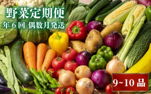 [2025年2月より順次発送]定期便 偶数月発送 野菜 詰め合わせ 産地直送 セット [食べきりサイズ] (9〜10品 年6回) 「2人暮らしにぴったり」 日時指定 可能 南国 土佐の新鮮 お野菜 やさい ベジタブル 旬 季節野菜 詰め合わせ 国産 人気 須崎 新鮮 野菜 ふるさと納税 ふるさと納税野菜 ふるさと納税定期便 高知 須崎 すさきの八百屋さん NK7000-x2