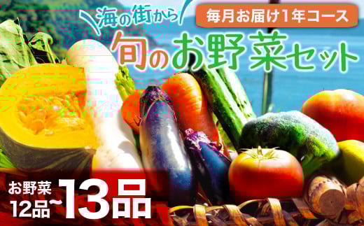 定期便 1年間 12回 野菜 詰め合わせ 産地直送 セット (12~13品程度 ) ( きゅうり なす パプリカ ピーマン れんこん ブロッコリー にんじん 人参 トマト 玉ねぎ タマネギ 野菜 ベジタブル 旬 あわ地区 旬の野菜 やさい キット 季節野菜 国産 人気 12ヶ月 毎月 お届け 頒布会 高知 高知県産 高知県 定期便 須崎市 須崎 ) AWA9000_x