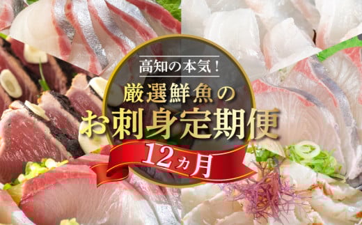刺身 定期便 12ヶ月 小島水産 がお届けする! 美味しい お刺身 1年 コース ( 鮮魚 下処理済 ) 産地直送 12回 新鮮 鮮魚 ( 鰤 ブリ 勘八 カンパチ 鯛 乙女鯛 真鯛 マダイ かつおのタタキ 鰹 カツオ 鰹のたたき 縞鯵 シマアジ ) 海鮮 刺身 頒布会 高知県 須崎市