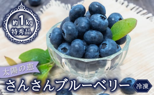 [早期予約開始!!2026年5月頃より順次発送][特秀品] ブルーベリー 500g × 2パック 合計 1kg 冷凍 健康 食品 果物 フルーツ ベリー そのまま おやつ 加工 お菓子 製菓 シャーベット ジャム ソース スムージー いちかわファーム 高知県 須崎市 IF001_x