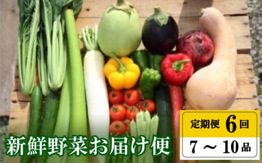 [早期予約] 定期便 全 6回 6ヶ月 半年 定期便 季節 旬の 野菜 7 〜 10 品 詰め合わせ セット 小松菜 大根 だいこん トマト パプリカ ピーマン にんじん 人参 かぼちゃ きゅうり ししとう なす みょうが 頒布会 年末年始限定 早期予約 期間限定 高知県 須崎市