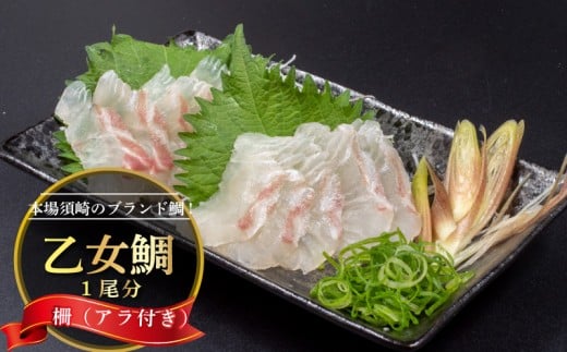 鯛 刺身 1匹分 ( 約900g~1kg ) アラ付き 柵 産地直送 高知県 乙女鯛 小島水産 ブランド 新鮮 冷蔵 真鯛 冷蔵 タイ 高級魚 鮮魚 魚介 海鮮 贈答 ギフト 贈り物 祝い 記念日 中元 歳暮