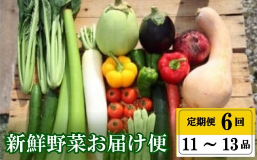 [早期予約] 定期便 全 6回 6ヶ月 半年 プレミアム 定期便 季節 旬の 野菜 詰め合わせ セット 11 〜 13 品 小松菜 大根 だいこん トマト パプリカ ピーマン にんじん 人参 かぼちゃ きゅうり ししとう なす みょうが 頒布会 年末年始限定 早期予約 期間限定 高知県 須崎市
