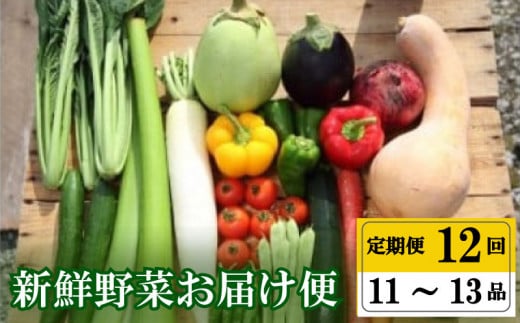 [早期予約] 定期便 全 12回 12ヶ月 季節 旬の 野菜 11 〜 13品 プレミアム 詰め合わせ セット 小松菜 大根 だいこん トマト パプリカ ピーマン にんじん 人参 かぼちゃ きゅうり ししとう なす みょうが 頒布会 年末年始限定 早期予約 期間限定 高知県 須崎市