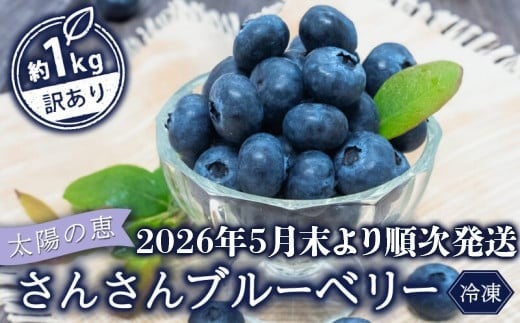【早期予約開始!!2026年5月末より順次発送】【訳あり】 ブルーベリー 500g x 2 パック 合計 1kg 冷凍 健康 食品 果物 フルーツ ベリー そのまま おやつ 朝食 加工 お菓子 製菓 シャーベット ジャム ソース スムージー いちかわファーム 高知県 須崎市 IF008