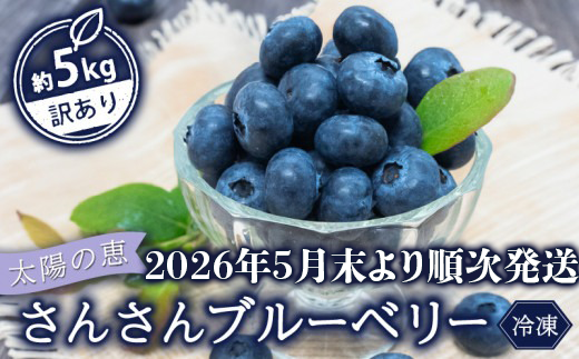 【早期予約開始!!2026年5月末より順次発送】【訳あり】 ブルーベリー 5 kg x 1 パック 合計 5kg 冷凍 健康 食品 果物 フルーツ ベリー そのまま おやつ 朝食 加工 お菓子 製菓 シャーベット ジャム ソース スムージー いちかわファーム 高知県 須崎市 IF011