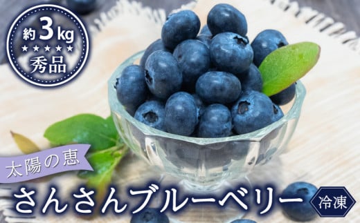 【早期予約開始!!2026年5月末より順次発送】【秀品】 ブルーベリー 500g × 6 パック 合計 3kg 冷凍 健康 食品 果物 フルーツ ベリー そのまま おやつ 朝食 加工 お菓子 製菓 シャーベット ジャム ソース スムージー いちかわファーム 高知県 須崎市 IF024