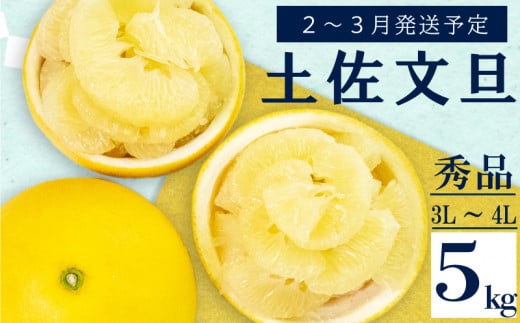 [2026年2月上旬から発送] 文旦 高知 5kg 秀品 3L 4L 浦ノ内特産 早期予約 予約受付中 期間限定 季節限定 限定 旬 みかん ミカン ぶんたん 高知県 土佐文旦 柑橘 贈答 お土産