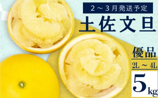[2026年2月上旬から発送] 文旦 高知 5kg 優品 2L 〜 4L 浦ノ内特産 早期予約 予約受付中 期間限定 季節限定 限定 旬 みかん ミカン ぶんたん 高知県 土佐文旦 柑橘 贈答 お土産