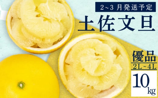 [2026年2月上旬から発送] 文旦 高知 10kg 優品 2L 〜 4L 浦ノ内特産 早期予約 予約受付中 期間限定 季節限定 限定 旬 みかん ミカン ぶんたん 高知県 土佐文旦 柑橘 贈答 お土産 KN002-x