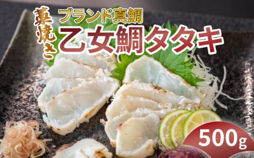 藁焼き乙女鯛タタキ 500g KS040 タレ たれ 藁焼き 鯛 ブランド 真鯛 たたき タタキ わらやき 魚 高知県 須崎市