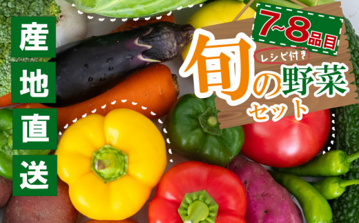 季節の野菜セット 産地直送 朝採れ (7品 〜 8品 野菜 セット 詰め合わせ 特産 季節 旬 新鮮 彩 ベジタブル 高知県 須崎市 )