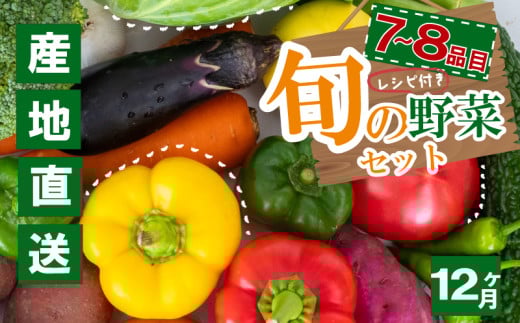 野菜定期便 7品~8品 12ヵ月 産地直送 朝採れ （ 7品 ～ 8品 野菜 セット 詰め合わせ 特産 季節 旬 新鮮 彩 ベジタブル 高知県 須崎市  ）NPO22000