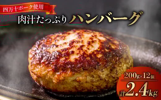 ハンバーグ 四万十ポーク 入り 2.4kg ( 200g × 12個 ) 冷凍 真空 小分け 個包装 肉汁 たっぷり 大容量 大きめ 合挽き 牛肉 豚肉 保存料 不使用 ビーフ ポーク 合いびき肉 挽肉 ジューシー お弁当 おかず 惣菜 晩ごはん 贅沢 ギフト 贈り物 贈答 SNM001-1