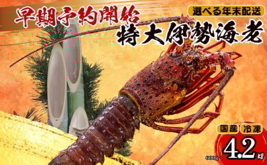[通常配送]特大 伊勢海老 1匹 600g 〜 以上 冷凍 ( 特大サイズ 急速冷凍 えび エビ 高級 鮮魚 海鮮 魚介 刺身 焼き物 汁物 ギフト 贈答 贈り物 祝い 歳暮 中元 年末 年始 早期 予約 )