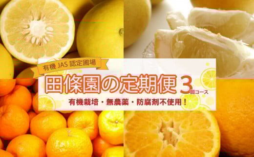 全 3回 3ヶ月 果物 定期便 ぽんかん 土佐 文旦 オーガニック 無農薬 防腐剤 不使用 高知県 須崎市 柑橘 蜜柑 みかん オレンジ フルーツ 果物 お取り寄せ 家庭用 高知県 須崎市 頒布会