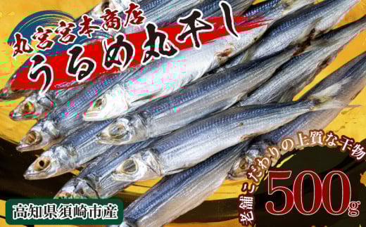 特上品 うるめいわし 500g 干物 鰯 煮干し 真いわし 真鰯 稚魚 おやつ 乾物 魚介 加工品 ウルメ 丸宮 宮本 商店 土佐 海洋深層水 ミネラル 高知県 須崎市 MMY020-2x