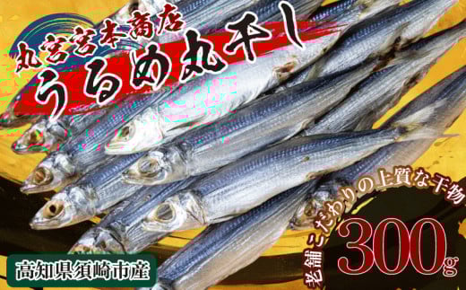 特上品 うるめ いわし 300g 干物 鰯 煮干し 真いわし 真鰯 稚魚 おやつ 乾物 魚介 加工品 ウルメ 丸宮 宮本 商店 土佐 海洋深層水 ミネラル 高知県 須崎市 MMY021-2x